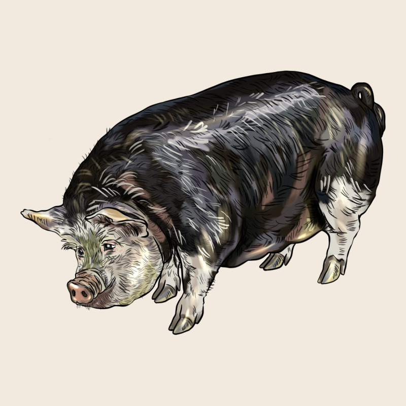 Poland China Pig Zipper Hoodie by LillyAllenDesigns | Teevron