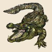 Alligator Ladies Tee | Teevron