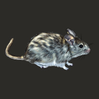 Packrat Aka, Woodrat Heavy Core Tee | Teevron