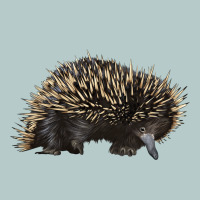 Short Beaked Echidna Heavy Core Tee | Teevron