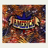 Tiger America Tumbler 4th Of July Urban Heavy Tee | Teevron