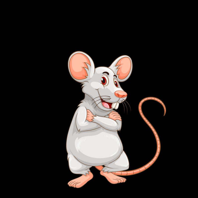 Mouse Rat Ladies Tee by Bettercallsaul | Teevron