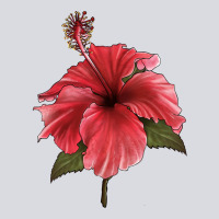 Puerto Rican Hibiscus Flower Illustrations Zipper Hoodie | Teevron