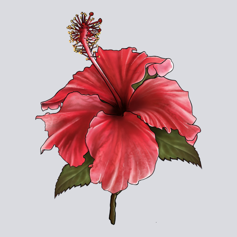 Puerto Rican Hibiscus Flower Illustrations Zipper Hoodie by LillyAllenDesigns | Teevron