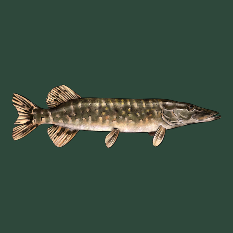 Northern Pike Fish Illustrations Zipper Hoodie by LillyAllenDesigns | Teevron