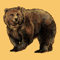 Grizzly Bear Vintage Hoodie | Teevron