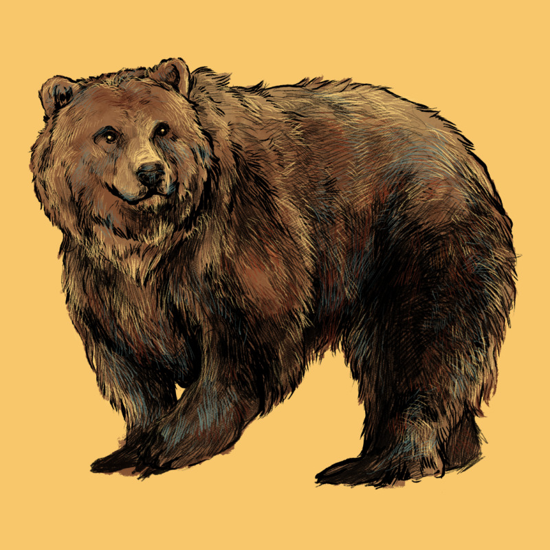 Grizzly Bear Vintage Hoodie by HowdyJamesFarm | Teevron