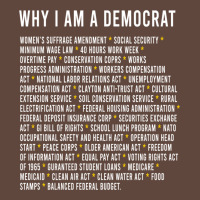 Why I Am A Democrat Cool Political Outfit For Democrats Long Sleeve Classic Tee | Teevron