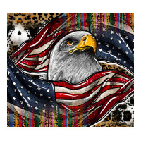 American Eagle Zipper Hoodie | Teevron