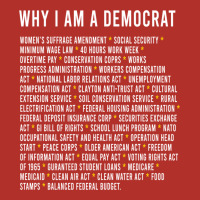 Why I Am A Democrat Cool Political Outfit For Democrats Long Sleeve Premium Hoodie | Teevron