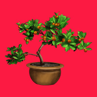 Guava Tree Bonsai Illustrations Zipper Hoodie | Teevron