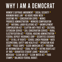 Why I Am A Democrat Cool Political Outfit For Democrats Long Sleeve Heavy Core Tee | Teevron