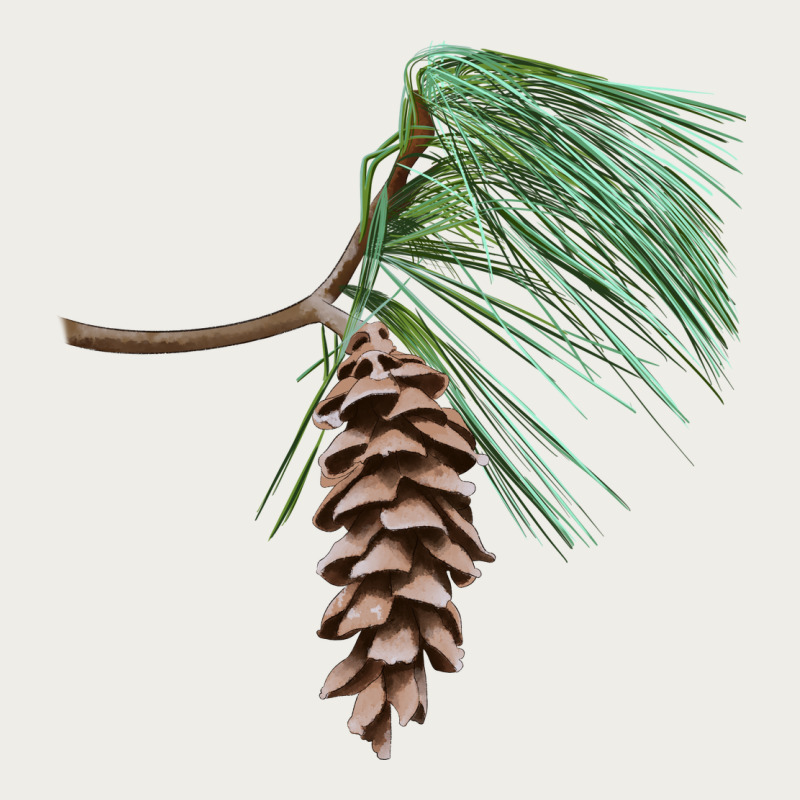 White Pine Cone Zipper Hoodie by LillyAllenDesigns | Teevron
