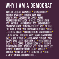 Why I Am A Democrat Cool Political Outfit For Democrats Long Sleeve Premium Tee | Teevron