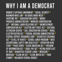 Why I am a Democrat cool political outfit for democrats Long Sleeve | Teevron