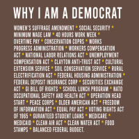 Why I Am A Democrat Cool Political Outfit For Democrats Long Sleeve Long Sleeve Tee | Teevron