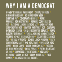 Why I Am A Democrat Cool Political Outfit For Democrats Long Sleeve Vintage Hoodie | Teevron