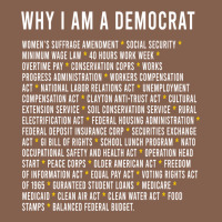 Why I Am A Democrat Cool Political Outfit For Democrats Long Sleeve Zipper Hoodie | Teevron