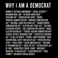 Why I Am A Democrat Cool Political Outfit For Democrats Long Sleeve Premium Sweatshirt | Teevron