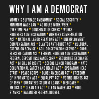 Why I Am A Democrat Cool Political Outfit For Democrats Long Sleeve Heavyweight Hoodie | Teevron