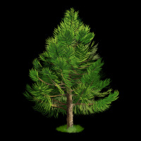 White Pine Tree Illustrations Zipper Hoodie | Teevron