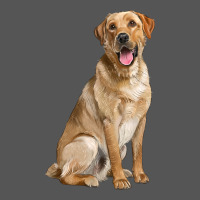 Labrador Retriever Llustrations Zipper Hoodie | Teevron