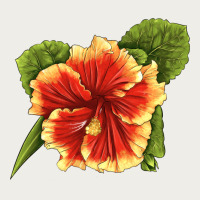 Hawaiian Hibiscus Flower Illustrations Zipper Hoodie | Teevron