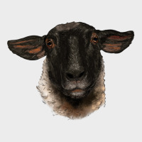 Suffolk Ewe Head Urban Hoodie | Teevron