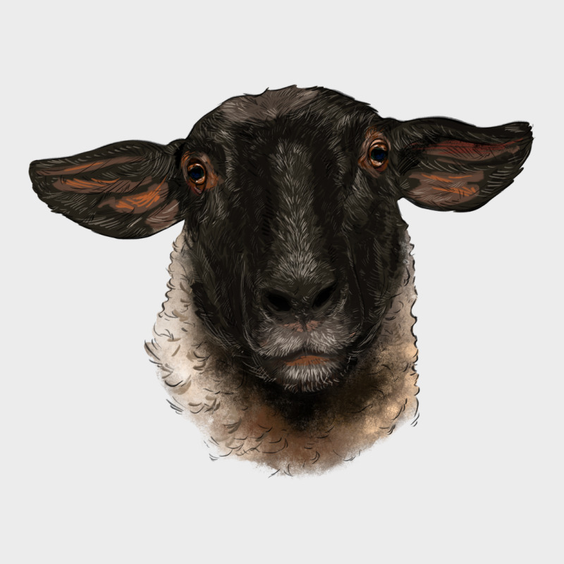 Suffolk Ewe Head Urban Hoodie by BarkalooDesign | Teevron