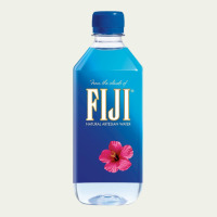 Aesthetic Fiji Water Urban Heavy Tee | Teevron
