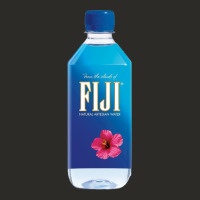 Aesthetic Fiji Water Heavy Core Tee | Teevron