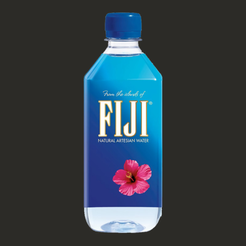 Aesthetic Fiji Water Heavy Core Tee by lanVoArt | Teevron