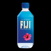Aesthetic Fiji Water Premium Tee | Teevron