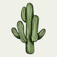 Cactus Urban Heavy Tee | Teevron