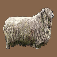 Lincoln Sheep Premium Tee | Teevron