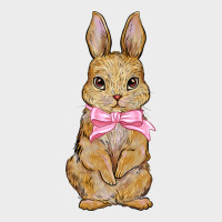 Easter Rabbit Pink Flowers Urban Hoodie | Teevron