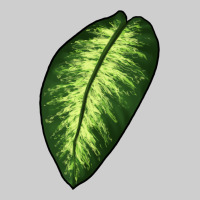 Dumb Cane Leaf Premium Tee | Teevron