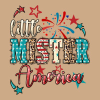 Little Mister America 4th Of July Vintage Hoodie | Teevron