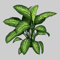 Dumb Cane Premium Tee | Teevron