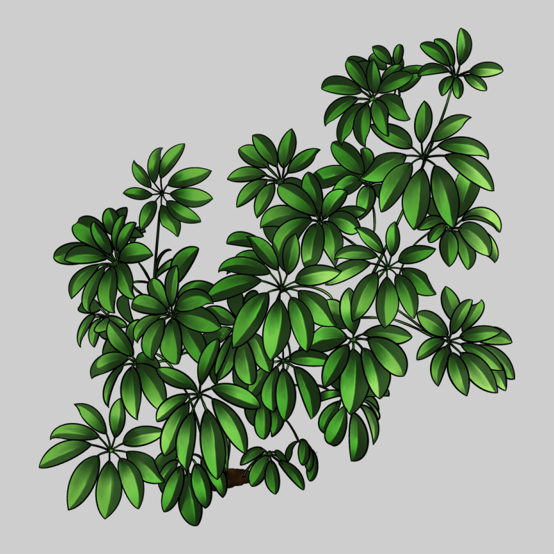 Botanical Schefflera Illustrations Premium Tee by LillyAllenDesigns | Teevron