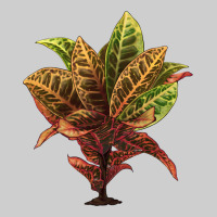 Croton Premium Tee | Teevron