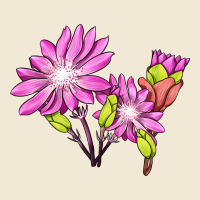 Bitterroot Flower Illustrations Premium Tee | Teevron