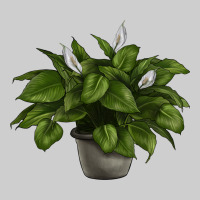 Peace Lily Premium Tee | Teevron
