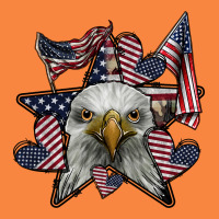 Eagle Star Png Premium Sweatshirt | Teevron