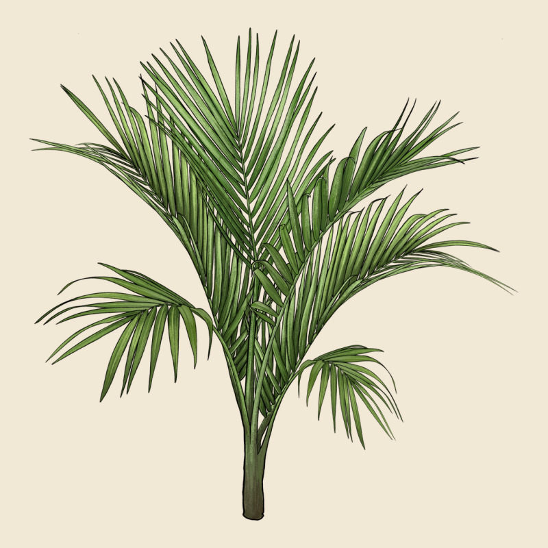 Botanical Majesty Palm Illustrations Premium Tee by LillyAllenDesigns | Teevron