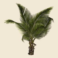 Palm Tree Premium Tee | Teevron