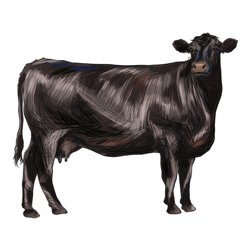 Black Angus Cow Premium Tee by LillyAllenDesigns | Teevron