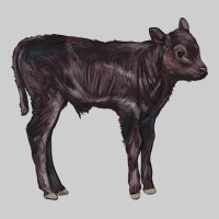 Black Angus Calf Illustrations Premium Tee | Teevron