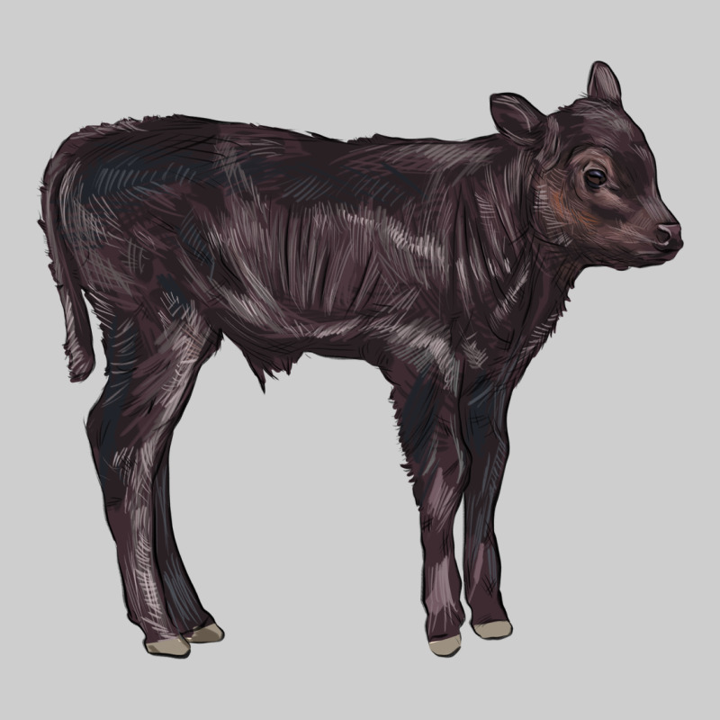 Black Angus Calf Illustrations Premium Tee by LillyAllenDesigns | Teevron
