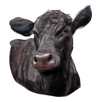 Black Angus Cow Illustrations | Teevron